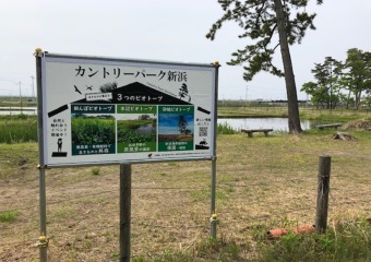 仙台メダカ米 田植え体験イベントに参加しました 生物多様性保全活動レポート 生物多様性保全への取り組み 自然との共生 生物多様性 環境とともに サステナビリティ ライオン株式会社